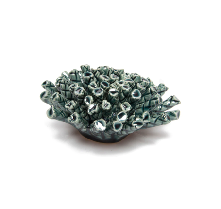 Coral 1 Medium - Teal 20