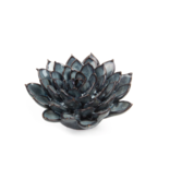 B09 - Coral 6 Succulent Large Blue Gray