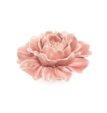 B17 - Coral 5 Flower Rose Pink