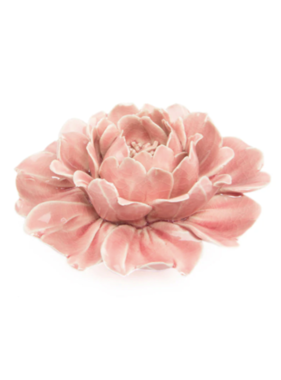B17 - Coral 5 Flower Rose Pink