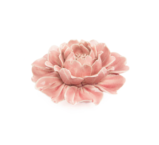 Coral 5 - Rose Pink 17