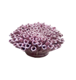 *B07 - Coral - Anemone Large Purple