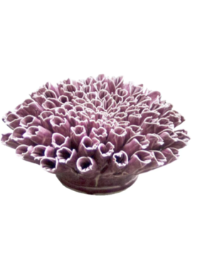 *B07 - Coral - Anemone Large Purple