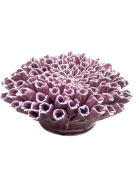 Coral 5 Anemone Large - Purple