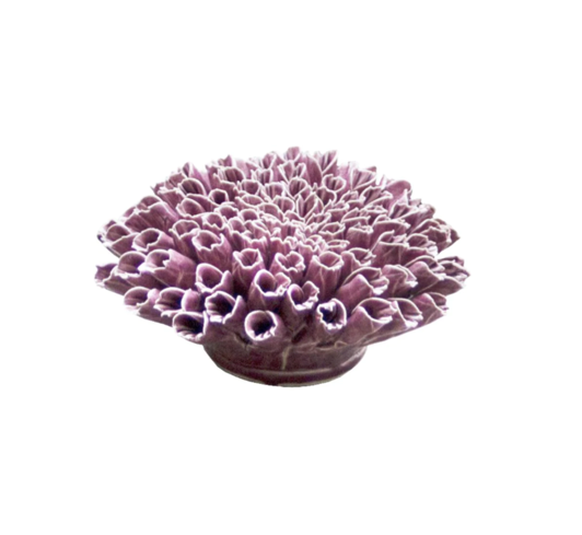 *B07 - Coral - Anemone Large Purple