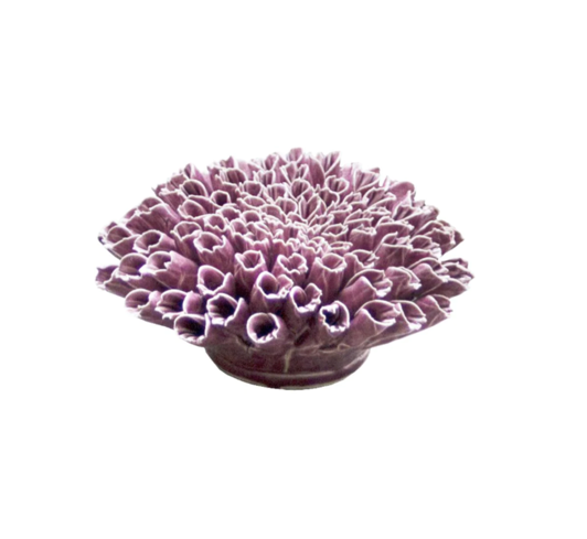 Coral 5 Anemone Large - Purple