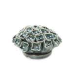 B01 - Coral 12 Medium Teal