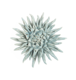 B06 - Coral 6 Large Blue