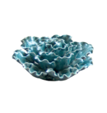 B08 - Coral- Sea Lettuce Large Teal