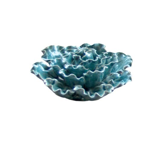 Coral 5 -  Sea Lettuce Large Teal 08