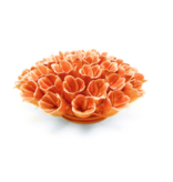 B02 - Coral 5 Sea Polyp Large Orange