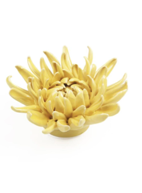 B16 - Flower English Garden Mum Yellow