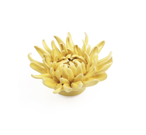 Coral 6 Mum - Yellow 16