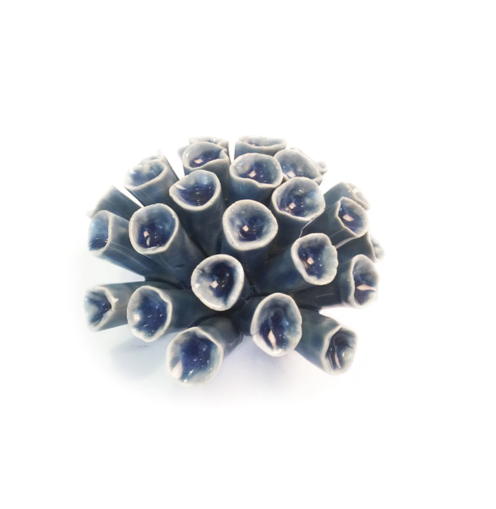 B13 - Coral 12 Medium Light Blue