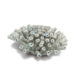 B18 - Coral Large Light Blue