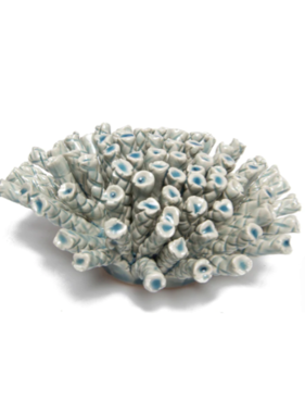 B18 - Coral Large Light Blue