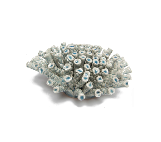 Coral 12 Large - Light Blue 18