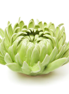 B19- Coral 12 Flower Green