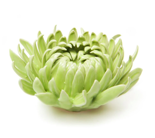 Coral 12 Flower - Green 19