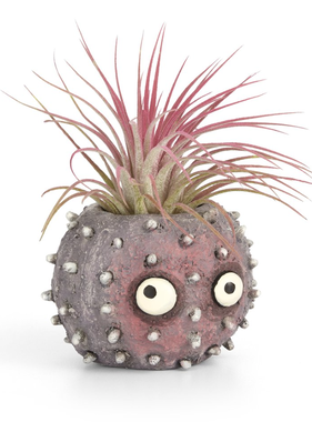 Uni Urchin Planter
