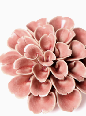 B11 - Coral Flower Pink