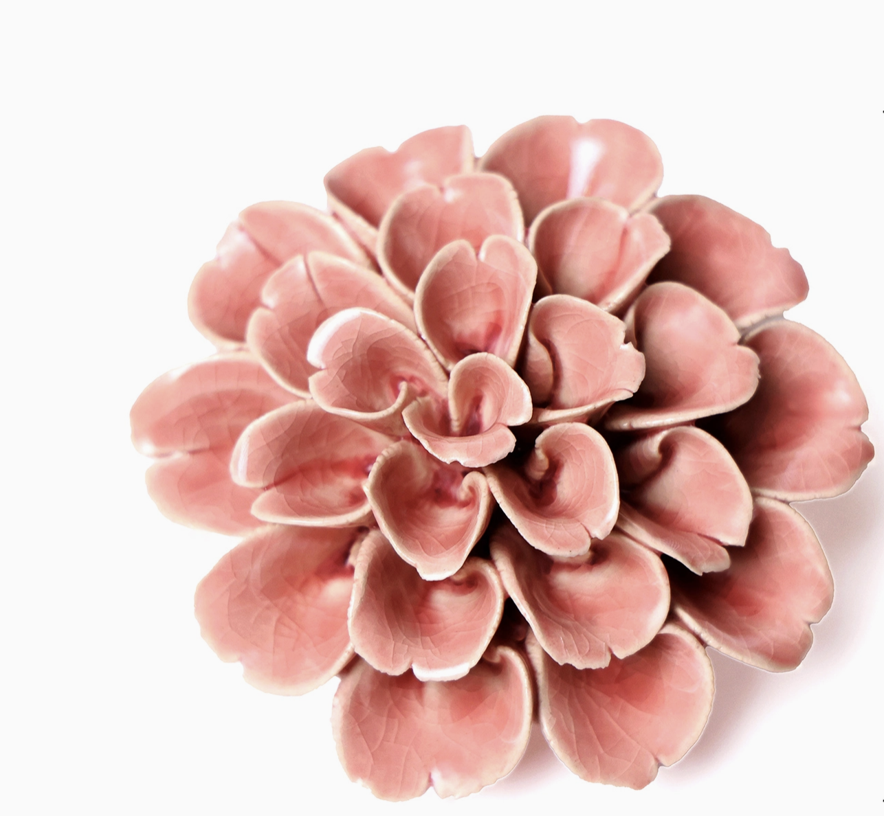 B11 - Coral Flower Pink