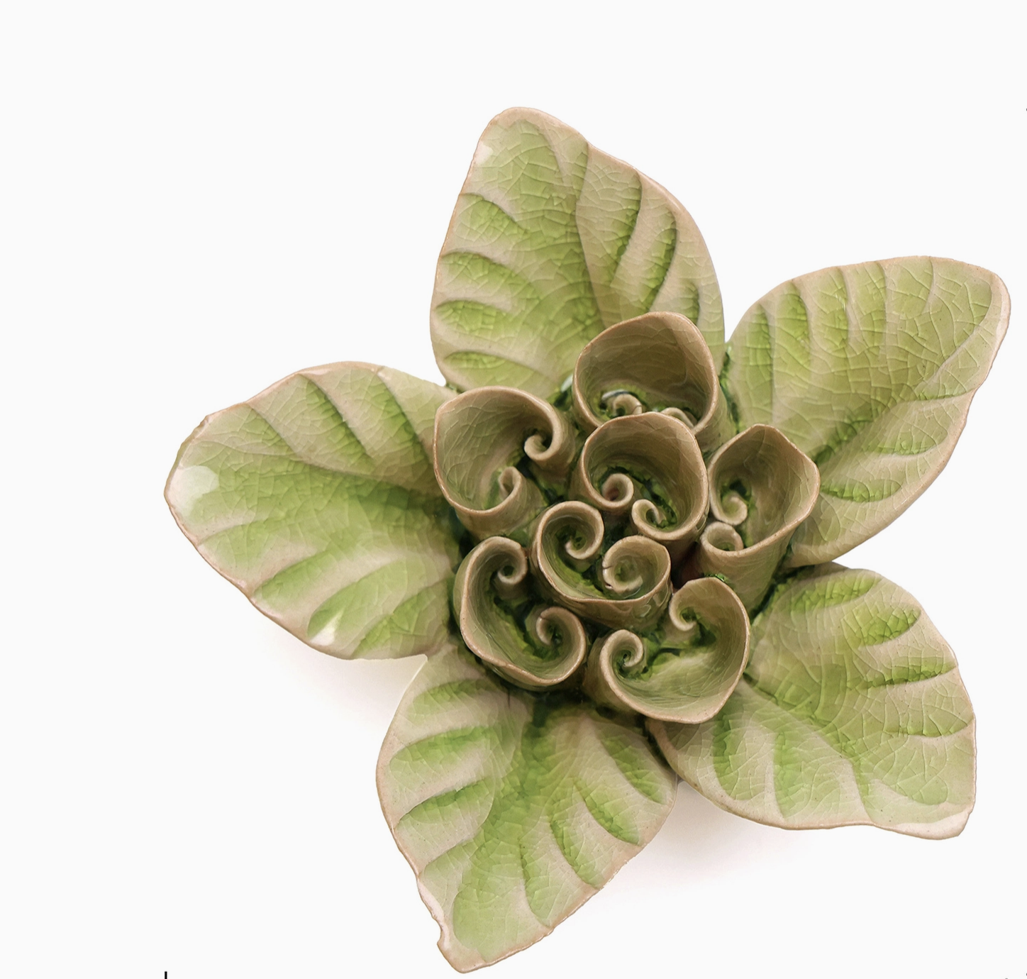 Flower - Green Lotus 12
