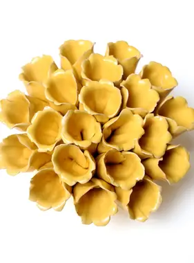 B14 - Coral Sea Polyp Medium Yellow
