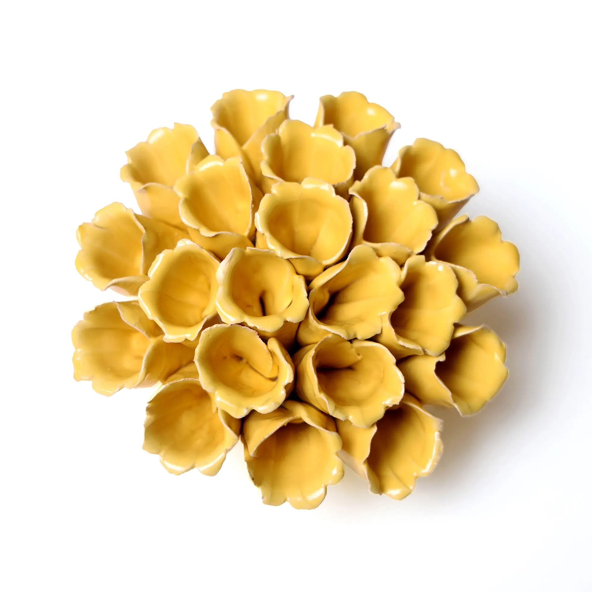 Coral Sea Polyp - Medium Yellow 14