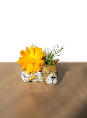 Mini Luna Dog Planter