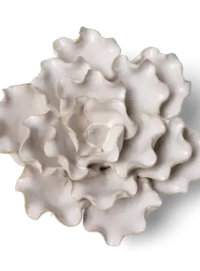 B21 - Flower Ivory Sea Lettuce Medium