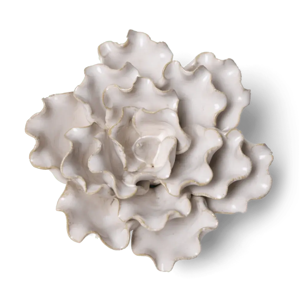 Coastal Ceramic Flower Ivory Sea Lettuce Medium 21
