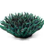 B04 - Coral 12 Mondo Teal