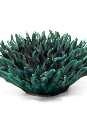 B04 - Coral 12 Mondo Teal