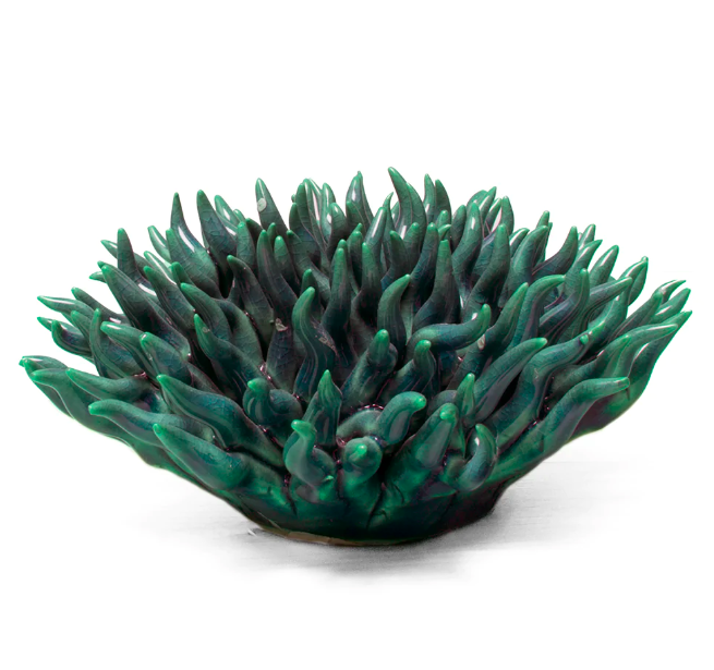 Coral 12 Mondo - Teal 04