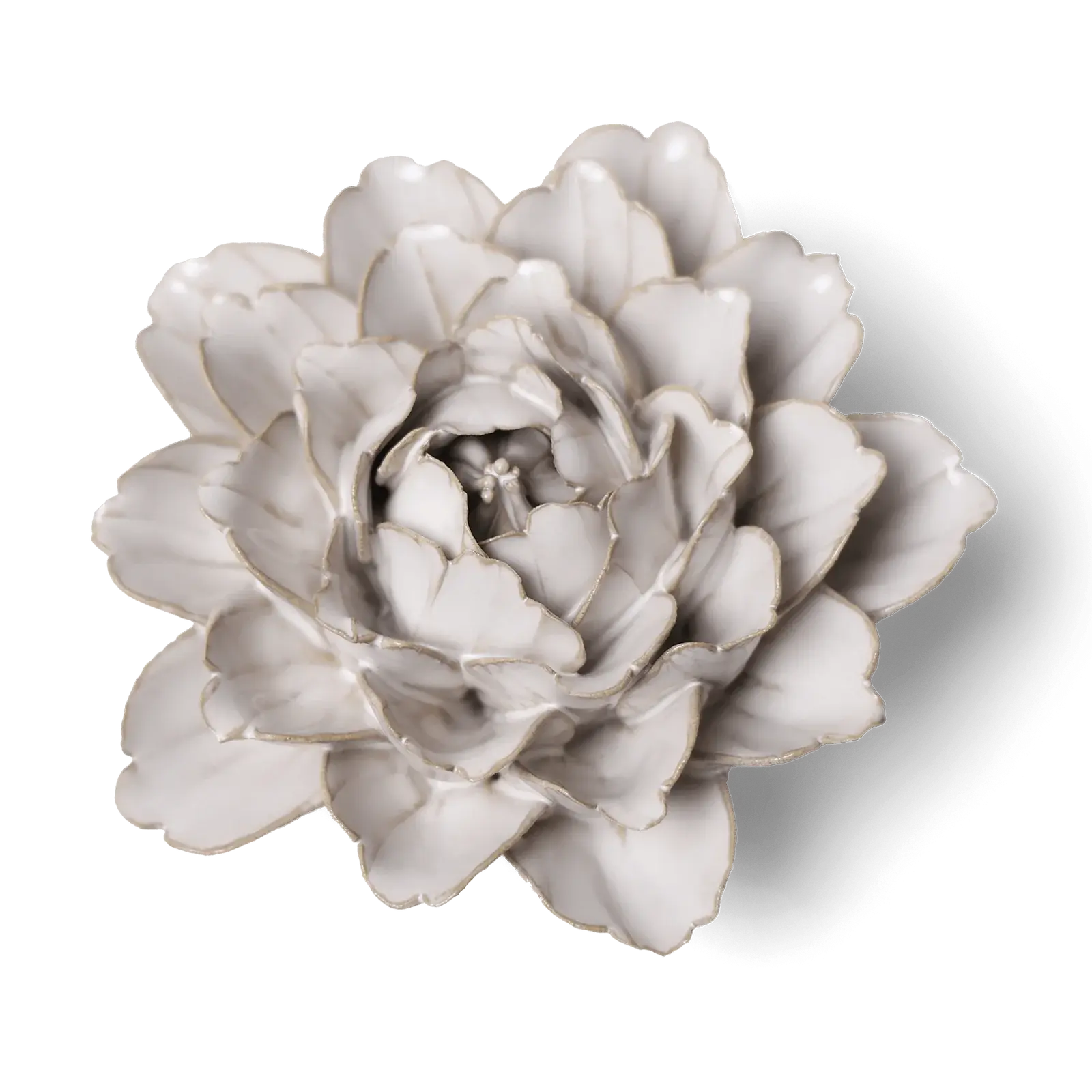 Coastal Ceramic Flower Ivory Zinnia 22