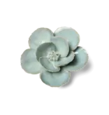 B26 - Flower - Milk Teal Poppy