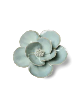 B26 - Flower - Milk Teal Poppy