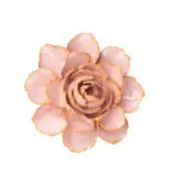 B29 - Flower Rose Pink Camellia