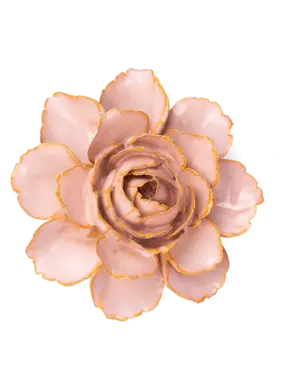 B29 - Flower Rose Pink Camellia