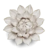 B27 - Flower Ivory Monch Aster