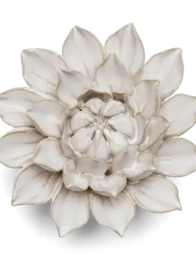 B27 - Flower Ivory Monch Aster