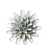 NA02 - Nantucket 02 Flower White