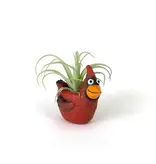 Baby Red Cardinal Mini Planter