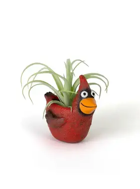 Baby Red Cardinal Mini Planter