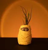 Mummy Mia Planter