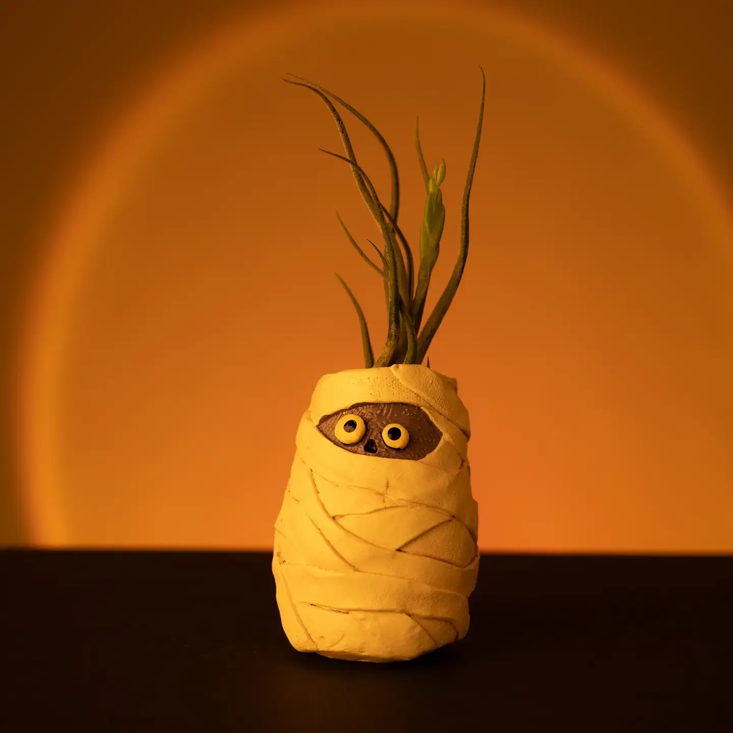 Mummy Mia Planter
