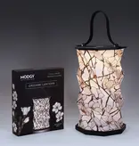 Origami Lantern - Modgy Louis C. Tiffany Magnolia Window
