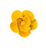 FR06 - Yellow Poppy Ceramic Flower