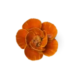Burnt Orange Poppy Ceramic Flower